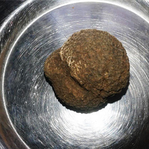 Languedoc Truffle